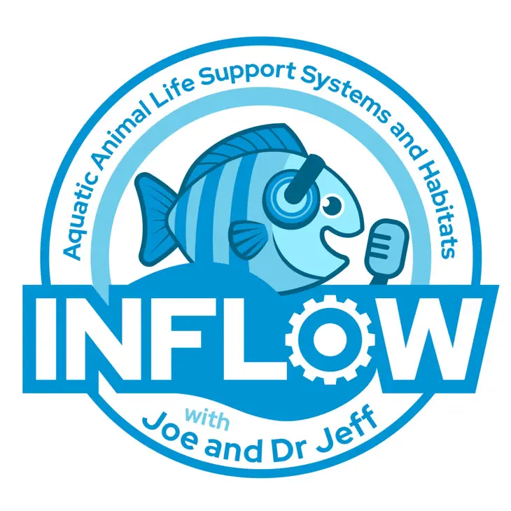 Inflow logo - Clean Search Global